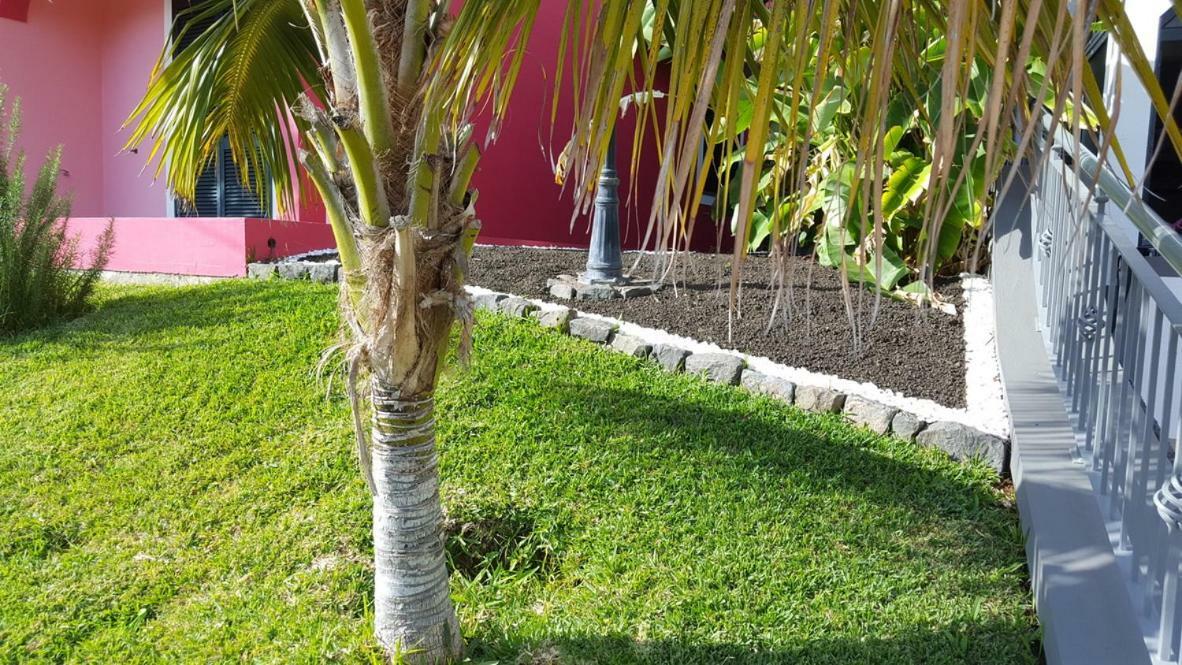 Apartament Pink House Ponta do Sol  Zewnętrze zdjęcie